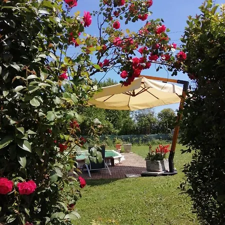 I Limori Apartment San Giuliano Terme